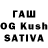 А ПВП VHQ Roshanak Tootoonchi