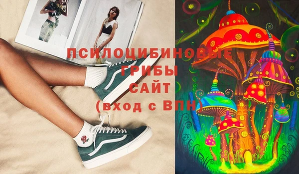 молекула духа Михайловск