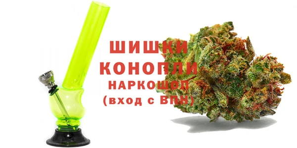 сатива Краснослободск