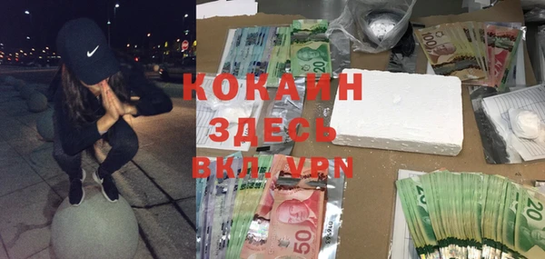 сатива Краснослободск