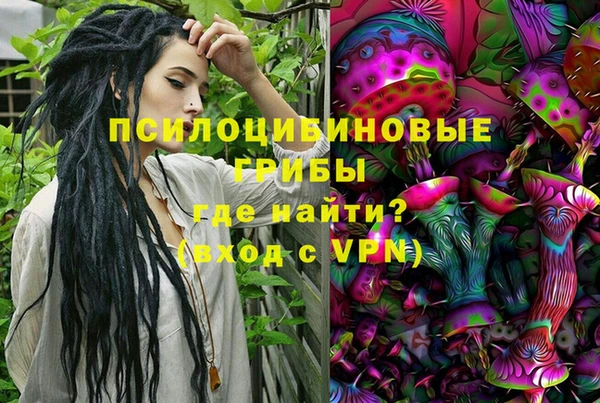 сатива Краснослободск