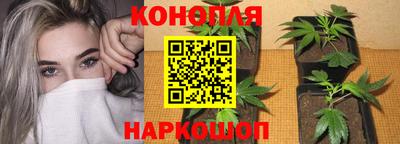 спиды Комсомольск-на-Амуре