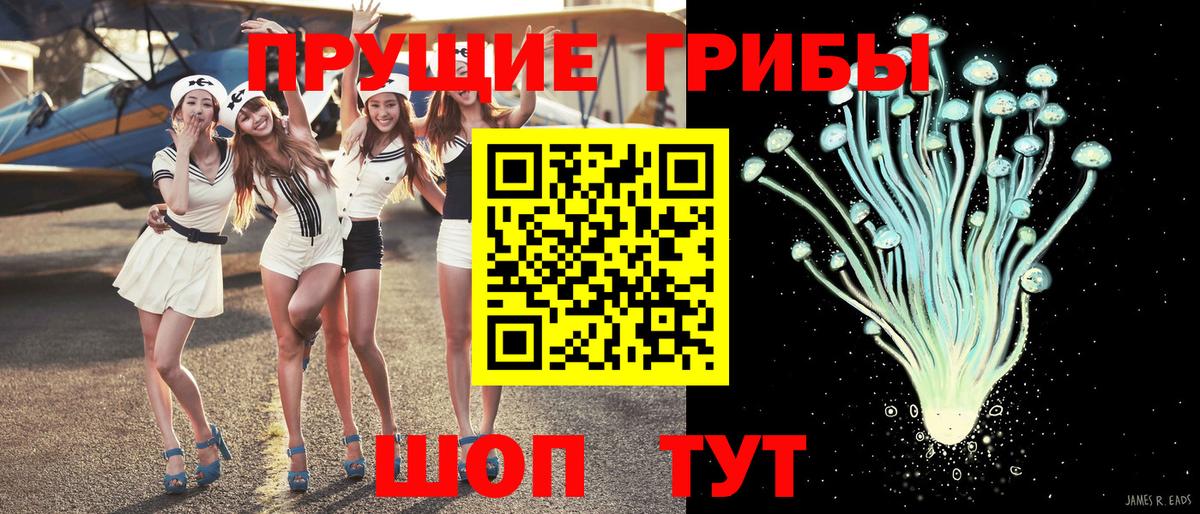 Псилоцибиновые грибы Psilocybine cubensis  Вход с VPN  Усть-Джегута 